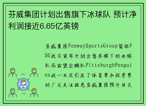 芬威集团计划出售旗下冰球队 预计净利润接近6.65亿英镑